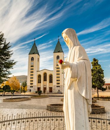 70a37e116a99d52626c2ee46427ffdd9