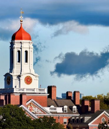college_harvard_14362 college_harvard_14362