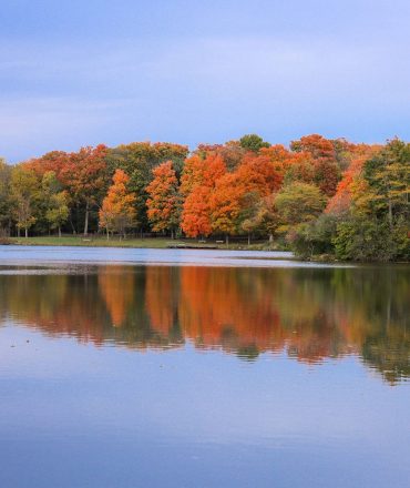 walden pond_scenic-view-lake-against-clear-sky walden pond_scenic-view-lake-against-clear-sky
