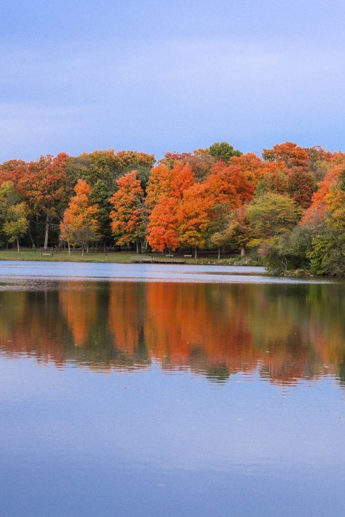 walden pond_scenic-view-lake-against-clear-sky walden pond_scenic-view-lake-against-clear-sky